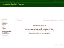 Tablet Screenshot of kapona.nl